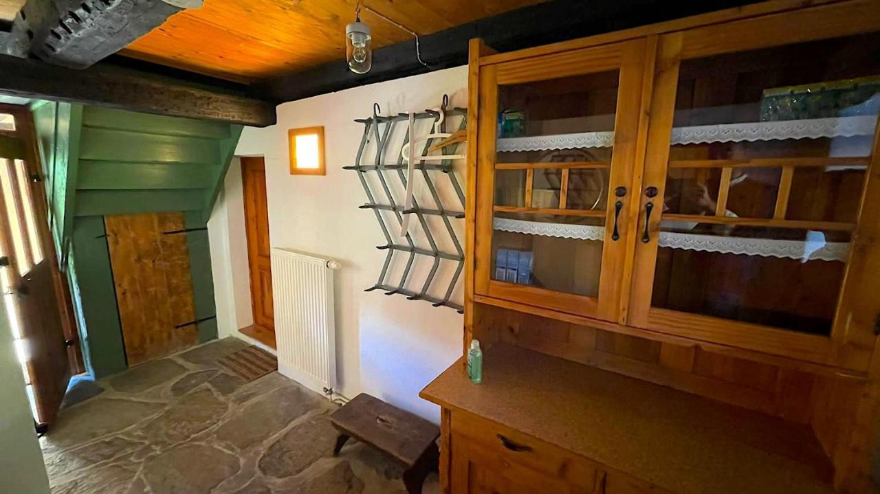 Wildbachidylle Villa Lichtenberg/Erzgebirge Exteriör bild